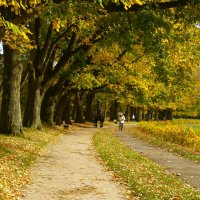 Баден-Баден,осень :: Юрий. Шмаков