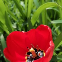 ,,, :: Сергей Тимоновский