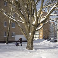 Без названия :: Владимир Носов
