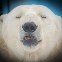 КАЙ :: Аркадий Лаптенко