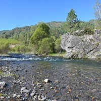 По р.Чемал :: Валерий Медведев