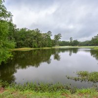 Весеннее утро :: **** vedin