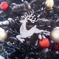 Украшэн её ёлки :: Сергей Кочнев