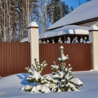 Всё укутано снегами :: Татьяна Машошина