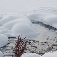 Полынья :: Любовь Сахарова