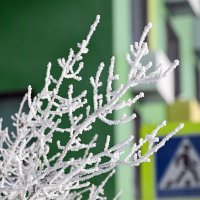 Февраль :: Валерий Иванович