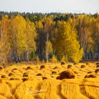 Осенние фантазии. :: nadyasilyuk Вознюк