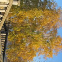 на набережной :: Елена Шаламова