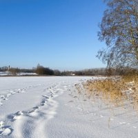 Наследили рыбаки. :: Милешкин Владимир Алексеевич 