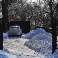 Зимует :: Юрий Гайворонскiий