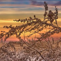 В ледяном плену ... :: Ravile 