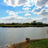 Лето. :: Владимир 