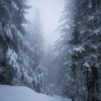 Сказочная  зима :: СЕРГЕЙ ФИЛОЧКИН