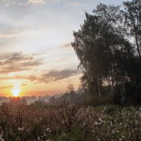 Утро. :: Александр. AVG100 ---