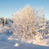Зима :: Владимир Колесников
