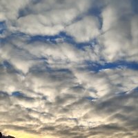 Вечер) :: Андрей 