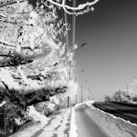 «Серебряная вуаль зимы» :: Арина Невская