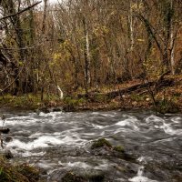 Речка Черная. :: Сергей Воротников