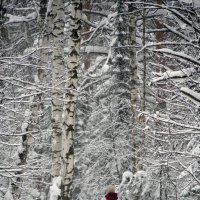 Не отставай! :: Павел Трунцев