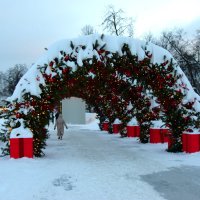 Нарядно. :: Наталья Вязигина