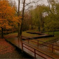 Осень. Парк "Яуза" :: Ирина С