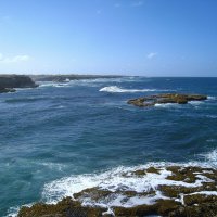 На Барбадосе. :: unix (Илья Утропов)