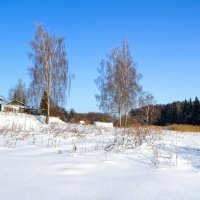 З ма в начале февраля. :: Милешкин Владимир Алексеевич 