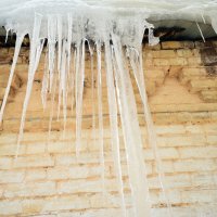 . :: Константин Сафронов