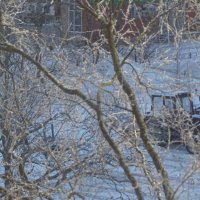 Утро в серебре :: Anna-Sabina Anna-Sabina