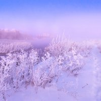 Морозное утро :: Vladimbormotov 