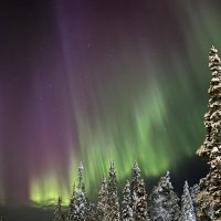 20 января. Вспышка. :: tatiana 