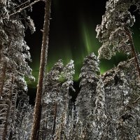 20 января. Вспышка. :: tatiana 