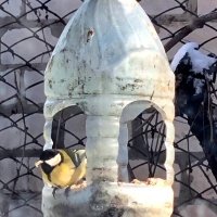 Застолбила место :) :: Наталья 