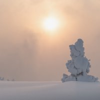 Елочка гномик :: Марина Фомина.