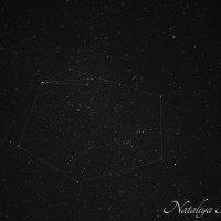 Природа Крыма :: Amazing Cosmea