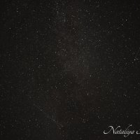 Природа Крыма :: Amazing Cosmea