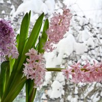 Контрасты :: Вадим 