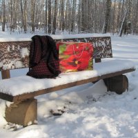 В зимнем парке... :: Татьяна Гнездилова