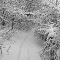 Снежный туннель :: Наталья (ShadeNataly) Мельник Снежный туннель :: Наталья (ShadeNataly) Мельник