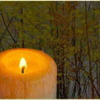 ЭТБД... :: Elvira E. 