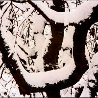 Южная зима - 29 :: Алексей Кузнецов