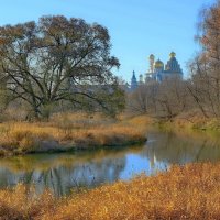 вспоминая золото осени... :: Andrey Bragin 