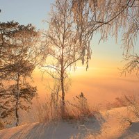 Зимнее утро над Обью :: елена беликова