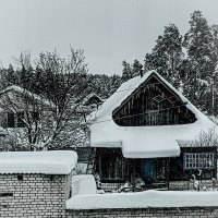 Постройки на фоне леса :: Юлия Денискина