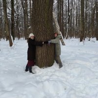 Дуб в два обхвата :: Игорь Ч.