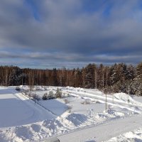 Проблески февральского солнышка. :: Алена 