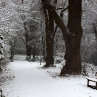 Январь :: Юрий. Шмаков