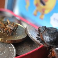 Оформление кредита в банке... )) :: Владимир Хиль