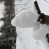 Зима в парке. :: Pippa 