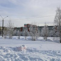 Зимний день :: Ольга 